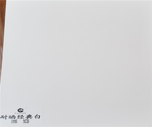 【耐晒经典白】